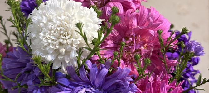 С Днём знаний!